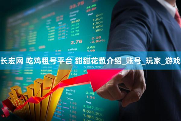 长宏网 吃鸡租号平台 甜甜花苞介绍_账号_玩家_游戏