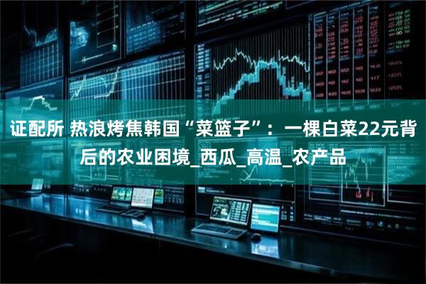 证配所 热浪烤焦韩国“菜篮子”：一棵白菜22元背后的农业困境_西瓜_高温_农产品