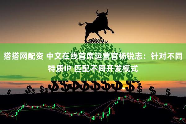 搭搭网配资 中文在线首席运营官杨锐志：针对不同特质IP 匹配不同开发模式