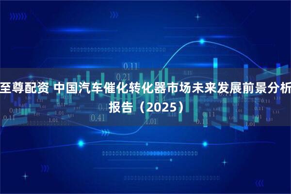至尊配资 中国汽车催化转化器市场未来发展前景分析报告（2025）